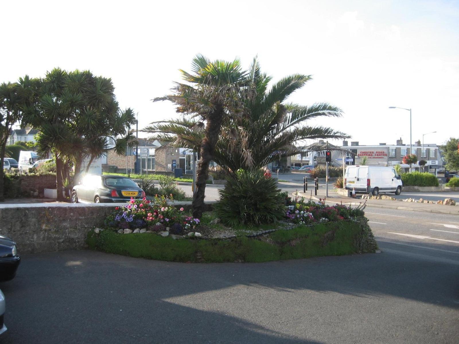Jasmine House Bed and Breakfast New Quay Eksteriør billede