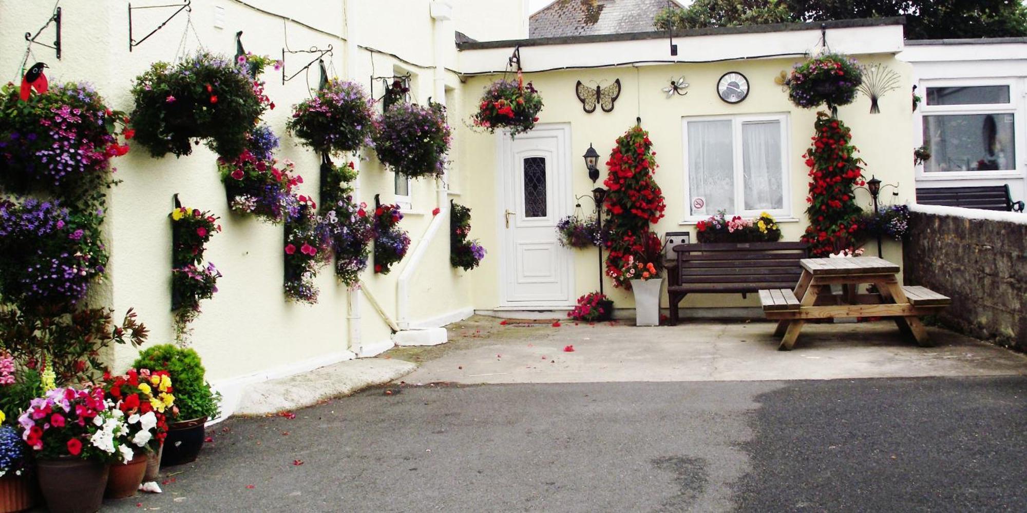Jasmine House Bed and Breakfast New Quay Eksteriør billede