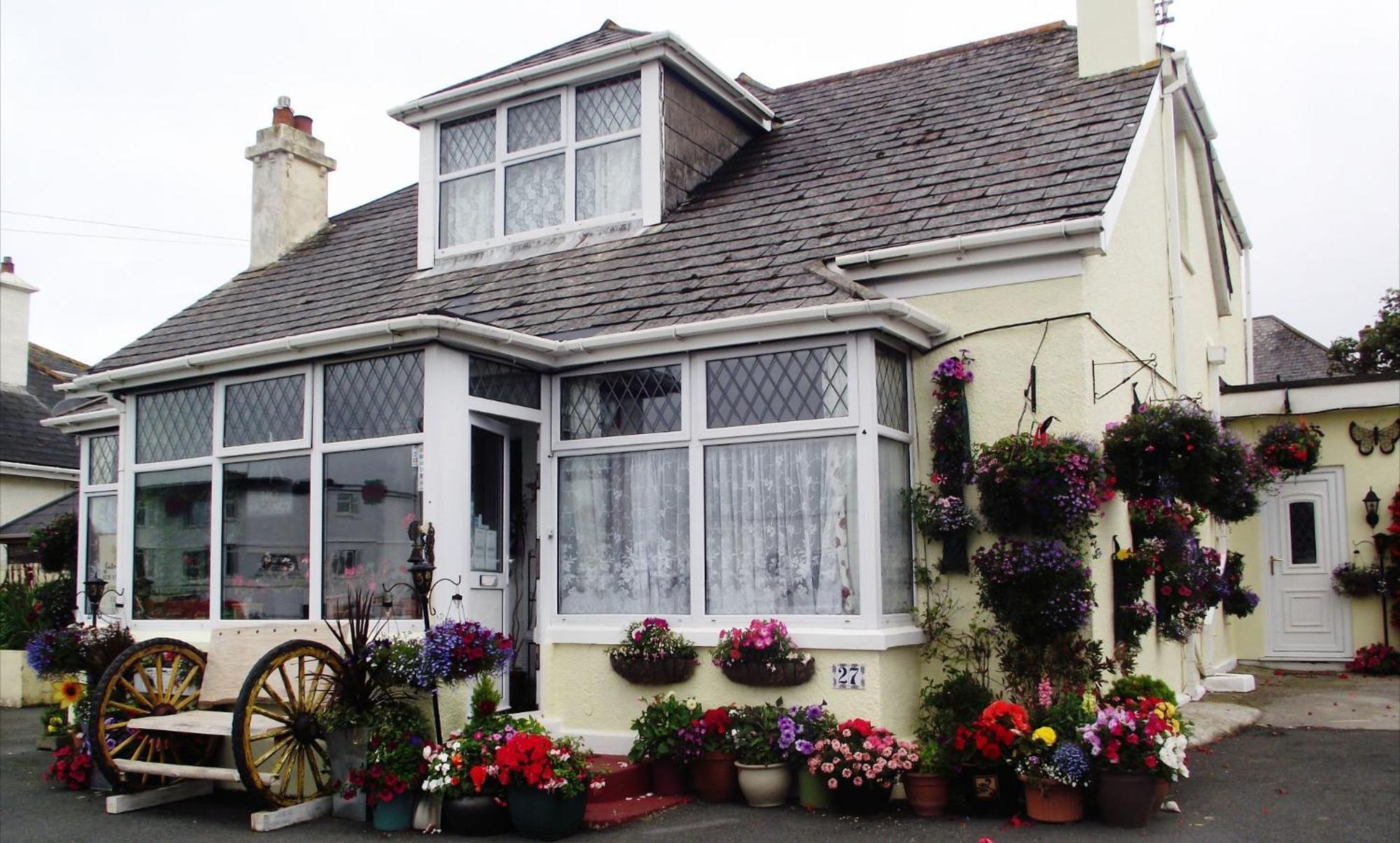 Jasmine House Bed and Breakfast New Quay Eksteriør billede