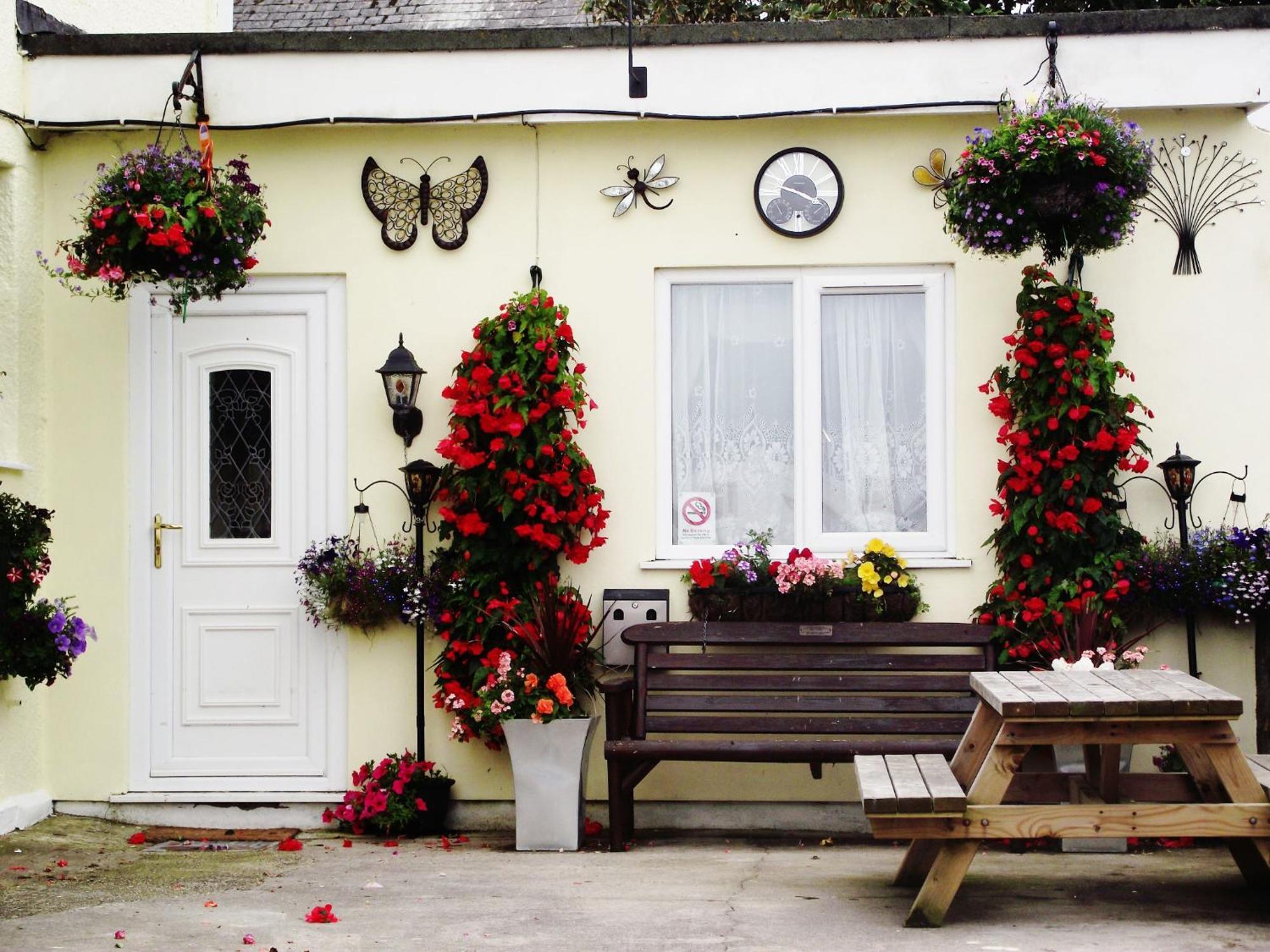 Jasmine House Bed and Breakfast New Quay Eksteriør billede
